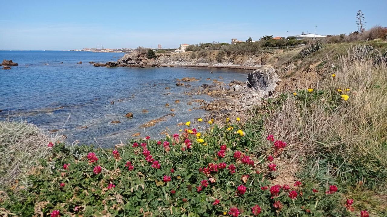 Villetta La Gabbianella Livorno Eksteriør bilde